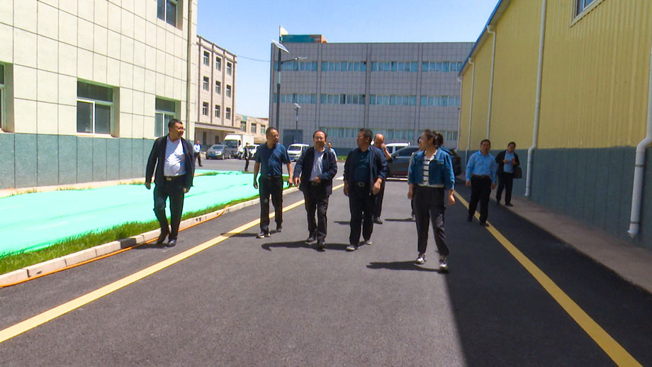 隴南市政協考察組來甘肅世邦星達生物科技有限公司考察中藥材產業發展情況